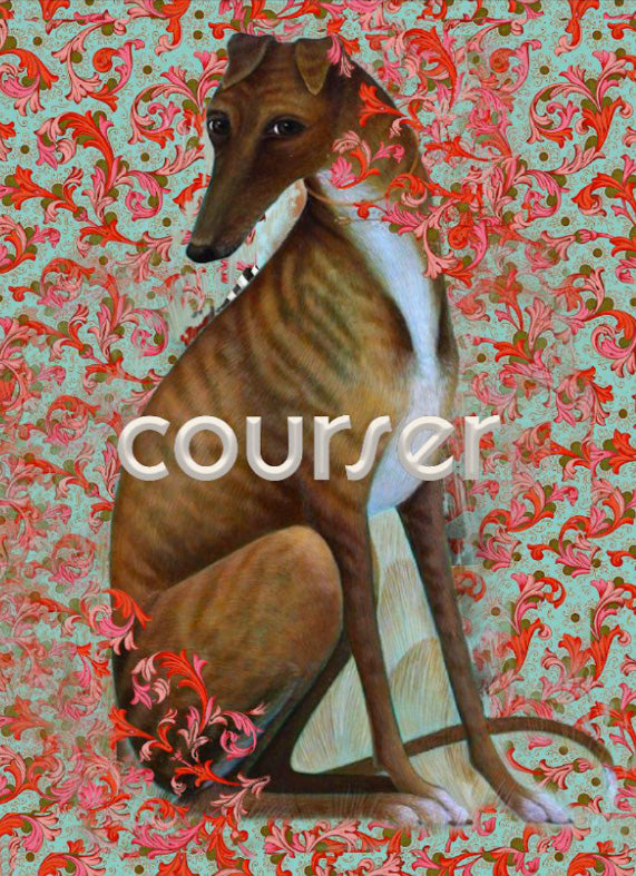 Courser Def About – Courser